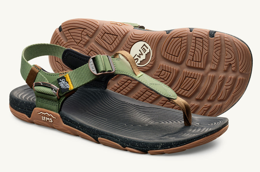 Women's Switchback Sandal - Cactus