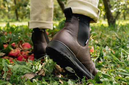 Pánské boty Chelsea Boot Waterproof - Dark Roast