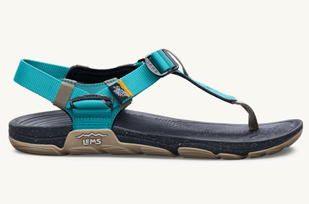 Men's Switchback Sandal - Oasis