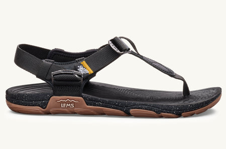 Men's Switchback Sandal - Scorpion