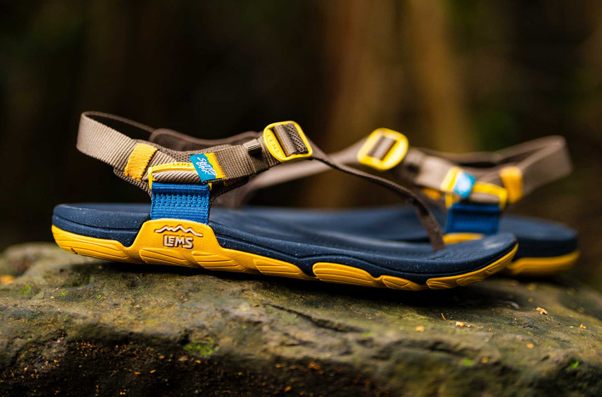 Men's Switchback Sandal Knit - Twig