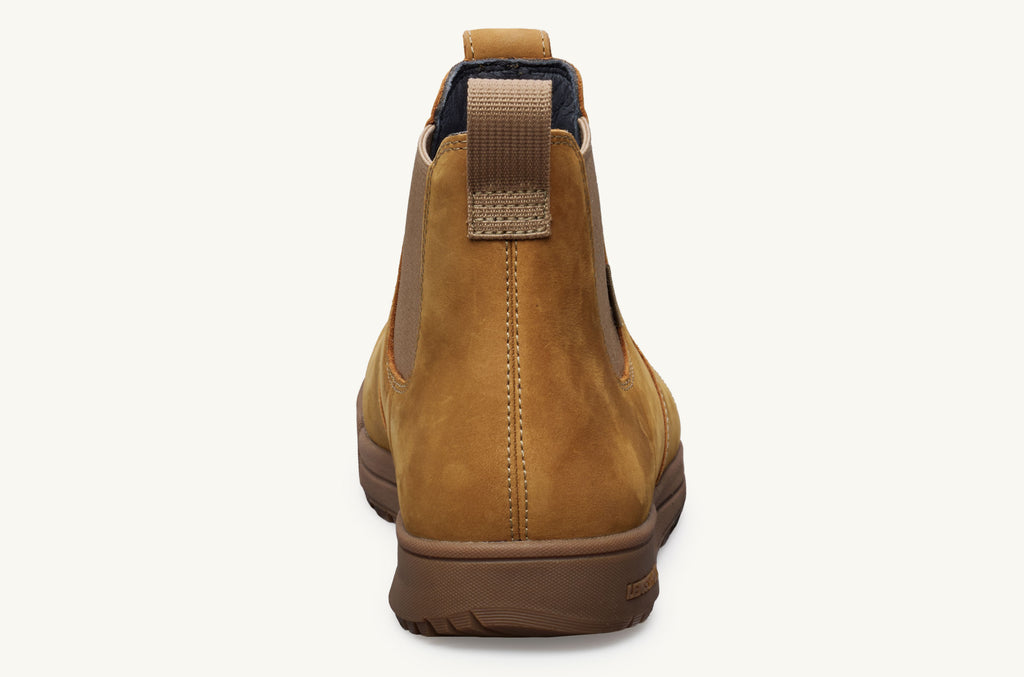 Wheat