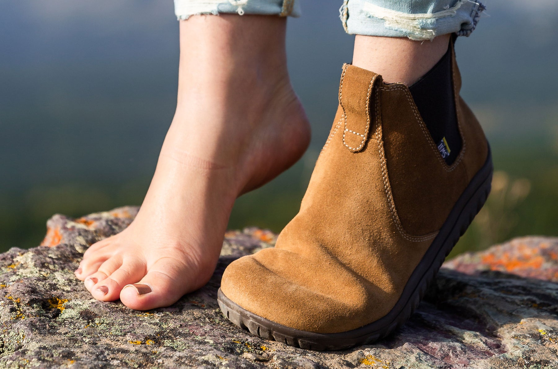 Women's Chelsea Suede Barefoot Boot - Cedar
